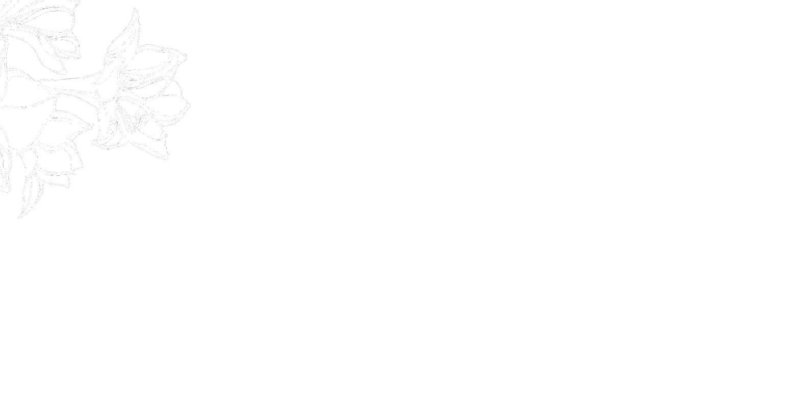 Bella Donna Flowers
